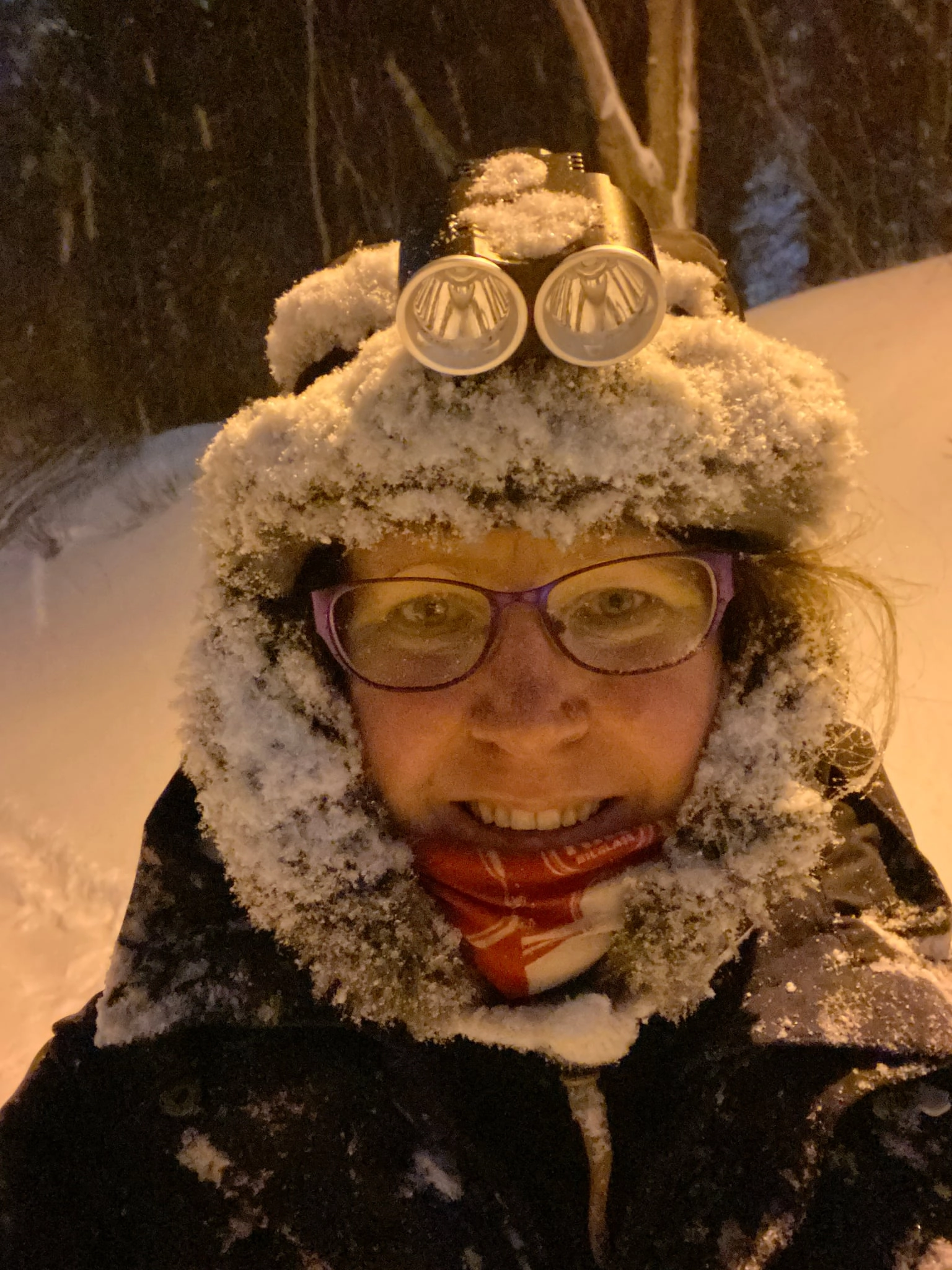 Geocacher of the Week: Misa80 – A Journey of Resilience and GPS