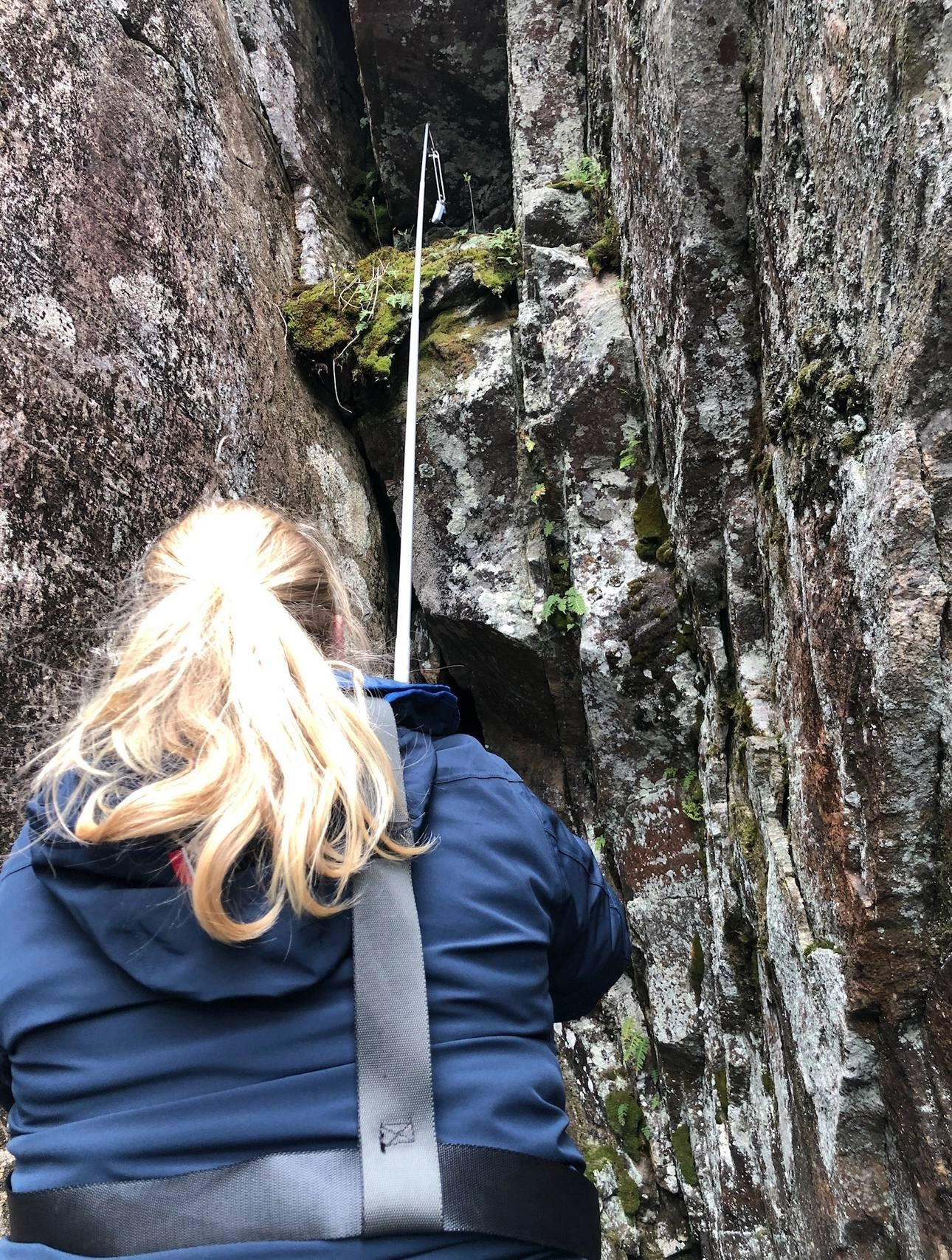 Kamskjell87 using a fishing rod to retrieve a geocache from a cliff ledge during a 17 May milestone trip.