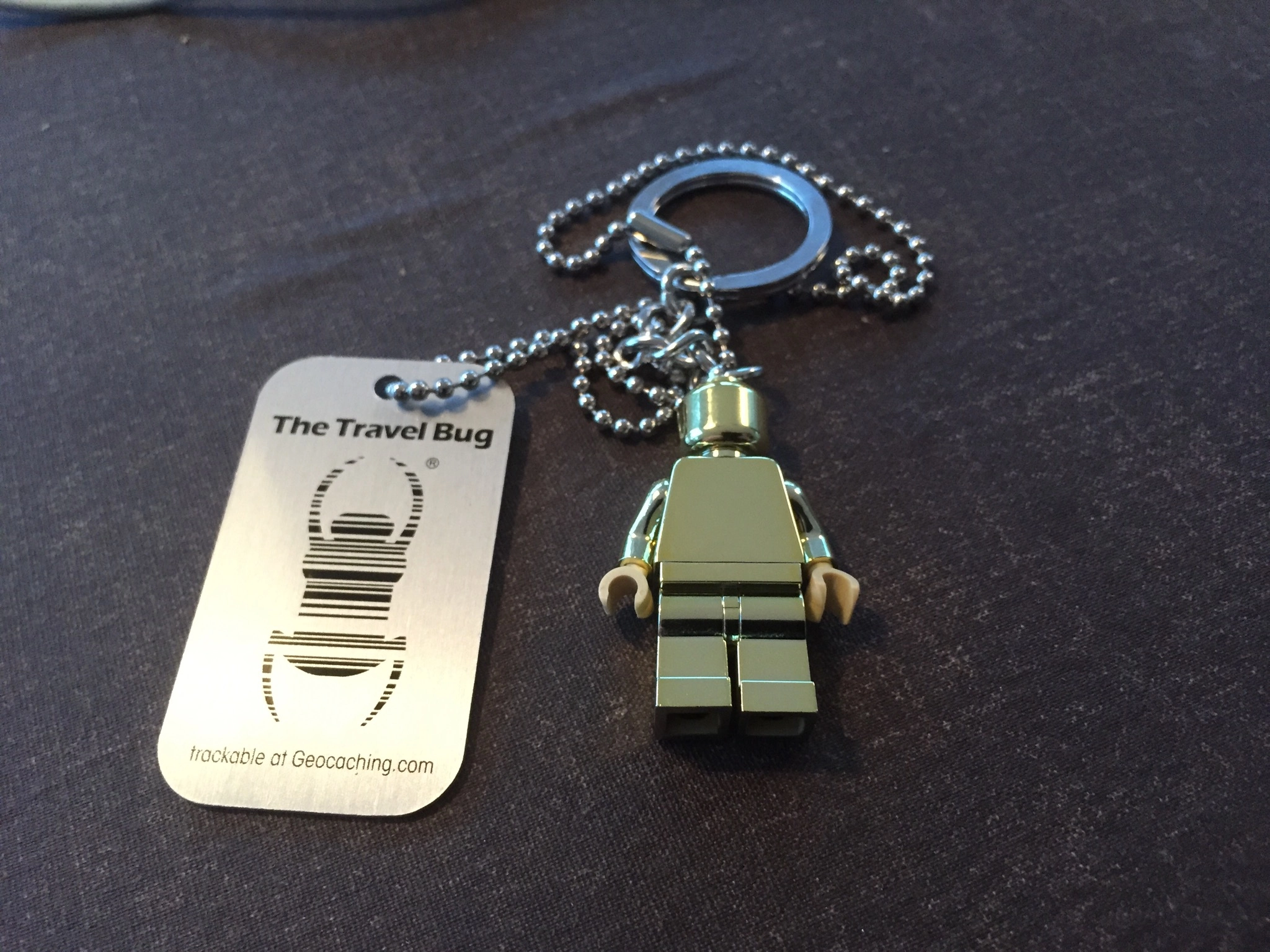 🐞 What is a Travel Bug? A Travel Companion in the World of Geocaching