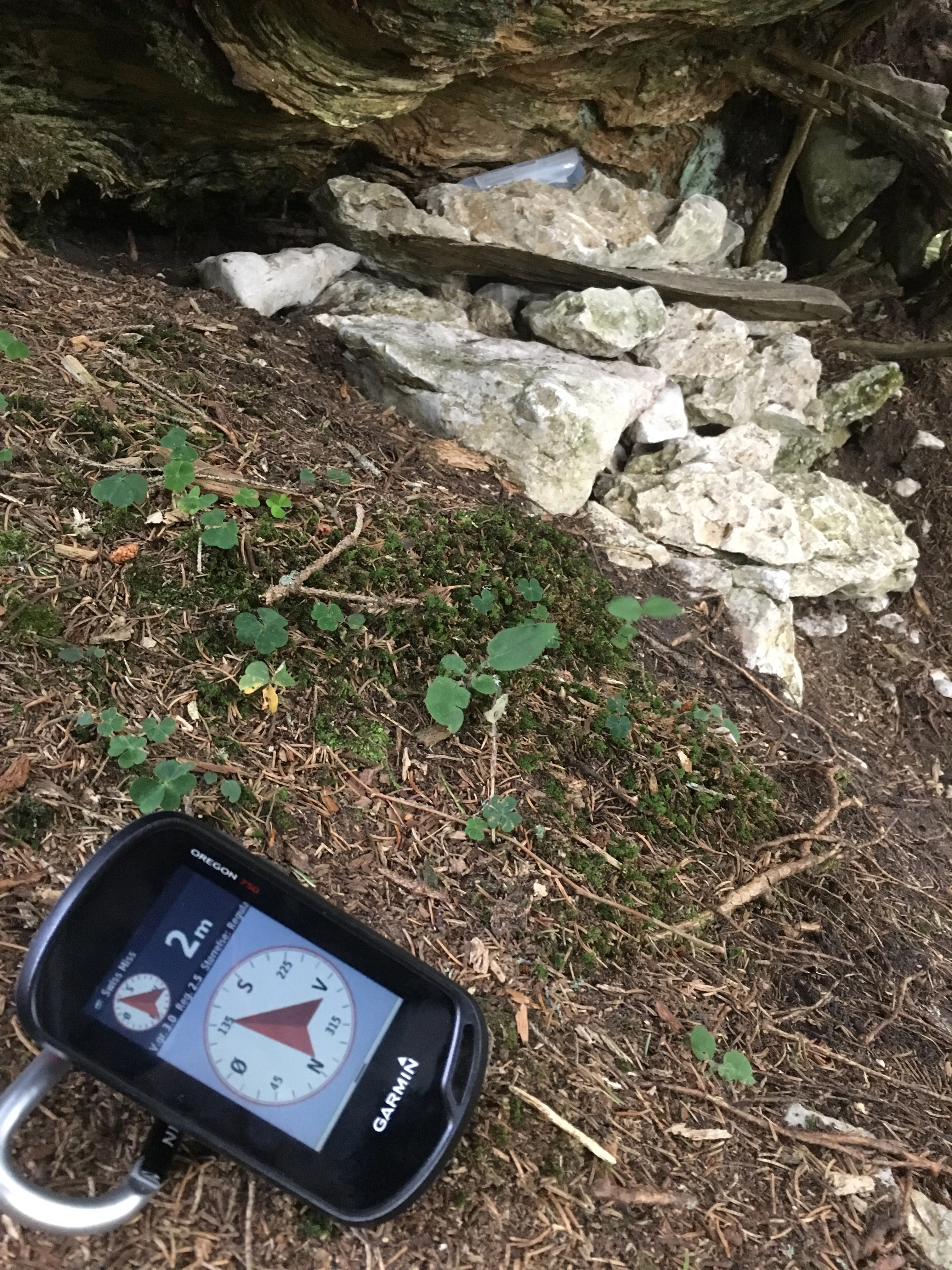 GPS device next to a small forest hideout – logging “Swiss Miss”, one of Switzerland’s oldest active geocaches.